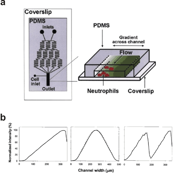 
            Premixer Gradient Generator. (a) 2D schematic of the device with 3D exploded view of the gradient generated downstream of the microfluidic mixer. (b) By reconfiguring the upstream mixer a variety of complex gradient profiles can be achieved including linear, hill, and sawtooth (adapted with permission from Macmillan Publishers Ltd:92 Copyright 2002).