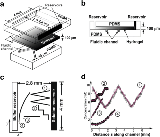 
            Hydrogel-Capped Arbitrary Gradient Generator. (a) 3D schematic of the device shows the 3-layer architecture. (b) Schematic of the device cross section shows a hydrogel slab separating gradient fluid reservoirs from cell culture microfluidic channels. (c) Top-view schematic of the device showing how microchannels of different configurations and a linear gradient between the buffer and solution reservoirs can be used to generate a wide variety of user-defined gradient profiles (d) (reprinted with permission from ref. 119, copyright 2006 American Chemical Society).