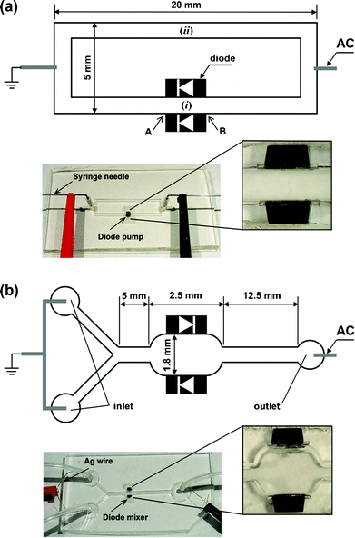 (a) Microfluidic device for diode pumping. Two 1 mm-long diodes were attached on the channel wall facing in the same direction for the diode pump. The electroosmotic flow driven by the diodes was monitored at point (i) between the diodes. The flow velocity of the pump was measured at the centre of the longer channel without diodes (ii), using tracing microspheres. (b) Microfluidic device for diode mixing. The two diodes were attached on the chamber wall facing in opposite directions. Milli-Q water and fluorescent dye solution were injected continuously into each inlet by a syringe pump. The mixing efficiency after applying the external AC field was monitored using a confocal microscope. The microchannels and diodes in both schematics are not to scale.