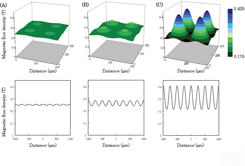 Magnetic flux density on the culture surface in simulations. The top- and bottom-view images show 3D and cross-section magnetic flux density at the center of the dish, respectively. The magnetic flux density was calculated for culture dishes with thicknesses of 150 (A), 100 (B), and 50 µm (C). The pillars (100 µm × 100 µm) were placed at 150 µm intervals.