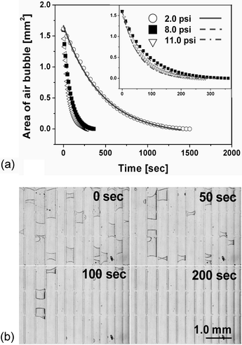 (a) The experimental data plots of reduced bubble area when the PDMS microchannel was constantly pressurized at 2.0, 8.0 or 11.0 psi. Inset shows the magnified view of the data at 8.0 and 11.0 psi. The expected times for complete removal (when y = 0) of air bubbles of about 80 nL were 1500 s, 360 s, and 282 s at 2.0, 8.0, and 11.0 psi, respectively. The line and dashed-line curves represent fitting curves based on eqn (2), employing the correction factors and appropriate parameters. (b) Sequential photographs prove that the air bubbles were successfully removed from the PDMS microchannels at an applied pressure of 8.0 psi according to the exponential decay model.