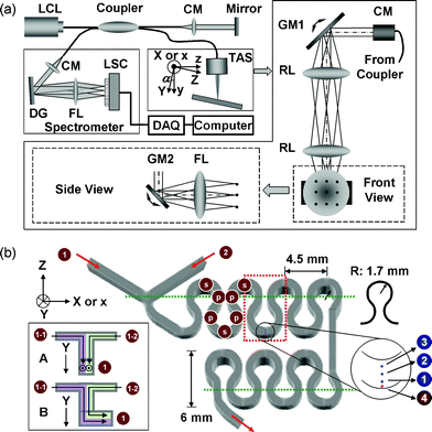 Experimental setup. (a) Schematic diagram for spectral-domain Doppler optical coherence tomography, and (b) a meandering square microchannel: () area of interest; () line of interest; ( or ) point of interest; LCL: low-coherence light; CM: collimator; DG: diffraction grating; FL: focusing lens; LSC: line scan camera; GM: galvo mirror; RL: relay lens, TAS: two-axis scanner.