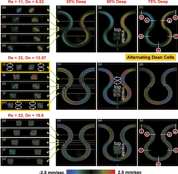 The liquid velocity vy(X, Y, Z) projected on the incident light in the area of interest. The velocity field shows a pair of counter-rotating vortices indicated above the inset in (o). Since the curvature is alternating, the rotational direction of the vortices is also alternating as shown by comparing (i) to (m). (a–e, i–m, q–u) The y-component velocity field vy(X, Y, Z) sectioned by the XY-planes. (f–h, n–p, v–x) The y-component velocity field vy(X, Y, Z) sectioned by the XZ-planes. (Insets in g, o, w) The y-component velocity field vy(X, Y, Z) sectioned by the YZ-planes.