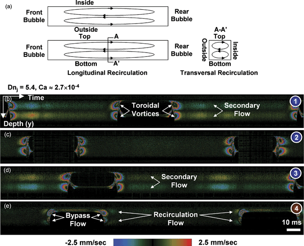 Depth versus time images showing liquid velocities projected on the incident light vy(y,t). (a) Schematic diagram illustrating the three-dimensional flow field which gives rise to mixing enhancement. (b–d) Liquid slug in bubble-train that flows through a meandering microchannel has not only a transversal recirculation by the secondary flow but also a longitudinal recirculation associated with the toroidal vortices to enhance mixing performance. (e) A bypass flow with the longitudinal recirculation imaged. Each image was taken at a different point of interest shown in Fig. 2(b).