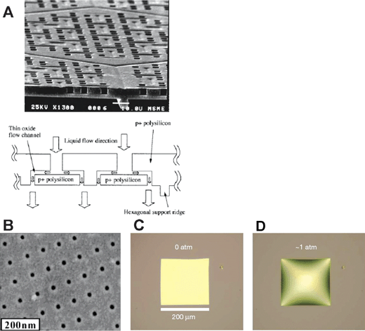 Various Si-nanopore membranes. A: Nanofilter membranes by Chu et al. (Ref. 30, copyright 1999, IEEE.) B: 10–25 nm diameter nanopore membranes (∼10 nm thickness) by Tong et al. (Reprinted with permission from ref. 32. Copyright (2004) American Chemical Society.) This membrane was made by FIB nanomachining technique. C: Nanopore membrane by Striemer et al. (Ref. 33, reprinted by permission from Macmillan Publishers Ltd: Nature, copyright (2007).) This membrane is only ∼10 nm thin (200 µm wide), but can withstand a pressure up to ∼1 atm pressure across the membrane (D).