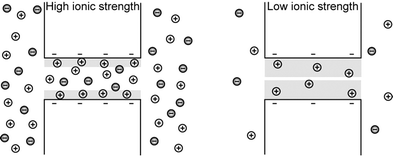 Charge-selectivity is achieved by decreasing the ionic strength of the electrolyte such that the electrical double layer (EDL, shaded in grey) becomes comparable to the size of the opening. Enrichment of counterions and exclusion of co-ions at low ionic strength is schematically shown. (Adapted from ref. 104.)