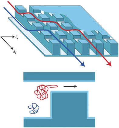 Concept of the anisotropic nanofilter array (ANA), from ref. 65 and 99. (Reprinted by permission from Macmillan Publishers Ltd: Nature Nanotechnology, copyright (2007).) Instead of being driven into the same nanofilters, molecules are given a choice at the junction, and molecules follow different paths based on their sieving properties (size, charge and other properties).