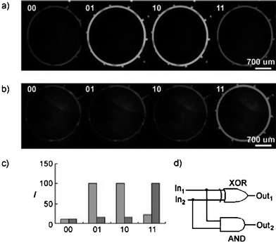 Logic gates realized in a microfluidic chip on the basis of fluorescent chemosensors. Fluorescence images in the presence of two H+ inputs for (a) an exclusive OR gate (XOR) and (b) an AND gate. (a) The output exhibits an intensive fluorescence signal, in the case where one of the input channels contains H+, while in the AND molecular gate, the fluorescence intensity reaches a maximum only if both input channels supply H+ at the same time. The fluorescence intensities for each output are shown in (c). A half-adder circuit is formed by an XOR and an AND gate as schematically shown in (d). (Reprinted with permission from Kou et al.2 Copyright 2007 VCH-Wiley).