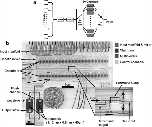 Chip design for automated long-term cell culture. Cells cultured in one of the 96 chambers maintain cell viability for weeks. The chip is designed for quantitative studies of proliferation and osteogenic differentiation of human primary mesenchymal stem cells. (Reprinted from Gómez-Sjöberg et al.4 Copyright 2007 American Chemical Society).