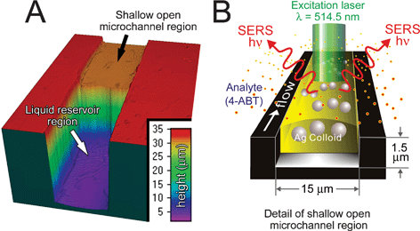 Microfluidic/SERS sensing device. The device is designed for free surface fluidics and is easily coupled with SERS detection: (A) Three-dimensional profile of the microfluidic device showing the transition from the 30 µm deep fluid reservoir to the open 1.5 µm deep microchannel section. The flow channels are 15 µm wide and were characterized with 3-D confocal microscopy (HS 200A Advanced Confocal Optical Profiler; Hyphenated Systems, Burlingame, CA, USA). (B) Schematic of microfluidic sensor for analysis of gas-phase species. The free-surface liquid/atmosphere interface allows analyte absorption and subsequent optical stimulation with a λ = 514.5 nm laser for SERS detection. [Reproduced from Piorek et al.,12 with permission.]