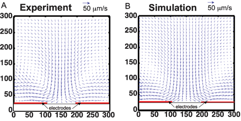 Velocity field of electrothermal flow (ETF) comparing experiments to simulation. A. Fluid velocity field measured in electrothermal test device. B. Numerical model of ETF. The circulating flow pattern matches well with the experimentally-measured velocity.17