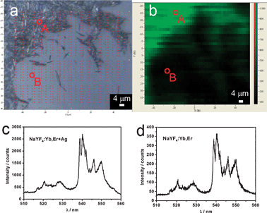 
          Optical microscopy image (a), corresponding mapping profile from green emission (b), and the corresponding emission spectra at points A (with Ag nanowires, c) and B (without Ag nanowires, d).