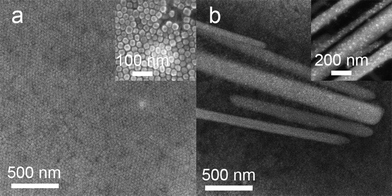 
          SEM images of NaYF4:Yb,Er assembly (a), Ag–NaYF4:Yb,Er–nanowires composite assembly (b), and the corresponding high magnification images (insets of a and b).