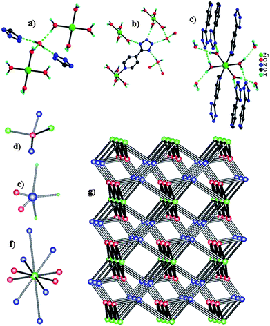 (a) to (c) Perspective views of the 4, 5 and 10-connectivity, respectively, in 3 (Zn green, C dark grey, H cyan, N blue, O red). (d) to (f) Topological representation of the 4, 5 and 10-connectivity, respectively, in 3 (10-connected [Zn(H2O)4]2+ nodes, 5-connected tetrazole nodes, and 4-connected non-coordinated H2O nodes are shown as green, blue and red balls, respectively). (g) View of 3D (4,5,10)-connected trinary net with (3·42·53)2(3·44·54·6)4(32·48·514.612·77·82) topology for 3 (viewed close to [100] direction).