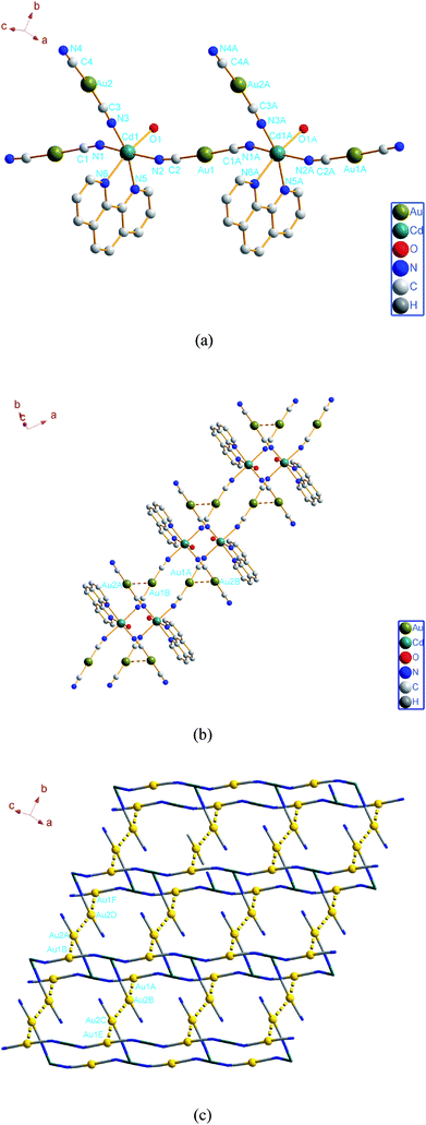 (a) Perspective views of the coordination environments of Cd atoms in 2 (some equivalent atoms have been generated to complete the Zn coordination, H atoms and iPrOH molecule omitted). (b) Perspective view of the aurophilicity-induced 1-D ladder chain of 2. (c) View of 2-D layer structure constructed from aurophilic interactions with a “tetramer” type of 2 with Au atoms represented by gold spheres and aurophilic interactions represented by gold dotted lines.