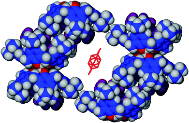 Cross-section of the extended structure of 3·PXY showing the disordered PXY molecule occupying the space generated by the packing of six neighbouring calixarenes. Hydrogen atoms are not shown on the disordered PXY, and endo-cavity PXY are shown in purple.