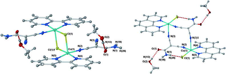 Structures of (a) the chloride bridged dimer [Cu(cdm)(2,2′-bipy)Cl]2·2MeOH 1 and (b) the cdm bridged dimer [Cu(cdm)(1,10-phen)Cl]2·2MeOH 2. Ellipsoids displayed at 50% probability. Symmetry equivalents used; †, −x, 2 − y, −z; ‡, 1 − x, 1 − y, 1 − z. Selected bond lengths (Å) and angles (°); 1, Cu(1)–N(2), 1.962(3); Cu(1)–N(4), 2.019(4); Cu(1)–N(5), 1.999(3); Cu(1)–Cl(1), 2.674(1); Cu(1)–Cl(1)†, 2.282(1); N(4)–Cu(1)–N(5), 80.94(11); Cu(1)–Cl(1)–Cu(1)†, 89.71(3). 2, Cu(1)–N(2), 1.965(3); Cu(1)–N(3)‡, 2.413(2); Cu(1)–N(4), 2.010(2); Cu(1)–N(5), 2.010(2); Cu(1)–Cl(1), 2.235(1); N(4)–Cu(1)–N(5), 82.14(9). Hydrogen bond lengths (D⋯A/Å); 1, O(2)⋯O(1), 2.799(3). 2, O(2)⋯O(1), 2.733(3); N(1)⋯Cl(1), 3.386(3).
