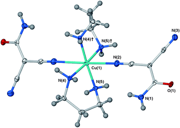 Structure of the monomeric complex [Cu(cdm)2(NH2(CH2)3NH2)2] 4. Ellipsoids displayed at 50% probability. Symmetry equivalent used: †, −x, 1 − y, z. Selected bond lengths (Å) and angles (°); Cu(1)–N(2), 2.599(2); Cu(1)–N(4), 2.025(3); Cu(1)–N(5), 2.021(3); N(4)–Cu(1)–N(5), 91.07(7); N(4)–Cu(1)–N(4)†, 87.94(14); N(5)–Cu(1)–N(5)†, 90.41(14).