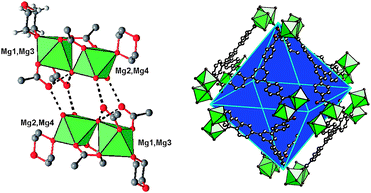 (left) Detailed view of two sets of the magnesium dinuclear units (Mg1–Mg2 or Mg3–Mg4) in MIL-123. (right) View of the super-octahedral cavities showing the position of the six tetrameric units Mg4 at each corner of the octahedron and the six organic tritopic btb linkers located on each face. Green octahedra: MgO5(H2O) or MgO3(H2O)3; red: oxygen; yellow: terminal bonded water: grey: carbon. Only the 1,4-dioxane molecule and fragment of the btb linker are shown for clarity. Hydrogen atoms have been omitted.