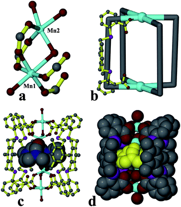 (a) The binuclear SBU linked by two carboxylate groups and one coordinated water molecule, the carbon and nitrogen atoms of the dmf molecules in Mn2 ion are omitted for clarity; (b) schematic representation of the cage showing the structure of one of the four identical ligands that span the edges of the cage; (c) the cage crystal structure with coordinated dmf molecules inside; (d) space-fill representation of the cage with the coordinated dmf molecules in yellow color.