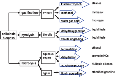 Strategies for production of fuels from lignocellulosic biomass from ref. 4.