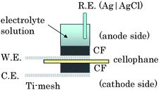 Schematic structure of an electrochemical cell for the single biofuel cell with a solution volume of 3 ml.