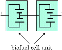 Circuit diagram of biofuel cell units composed of two multi-stacked biofuel cell units (Fig. 3) in series.