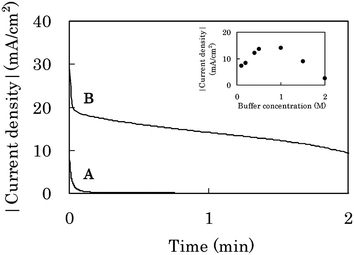 CA response on a CF-biocathode at 0 V vs. Ag|AgCl in 1.0 M phosphate buffer solution (pH 7.0) containing 0.4 M glucose under quiescent conditions. (A) and (B) were taken by using a sink-type cell (S-cell, Fig. S5a) and an open-air type cell (OA-cell, Fig. S5b), respectively. The inset shows the dependence of the current density after 1 min CA at 0 V upon the buffer concentration (pH 7.0) by using the OA-cell.