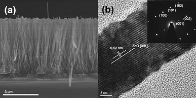 (a) Cross-section scanning electron microscopy image of ZnO nanowires arrays on fluor tin oxide (FTO). (b) HRTEM image of individual ZnO NW and its corresponding SAED pattern inset.90