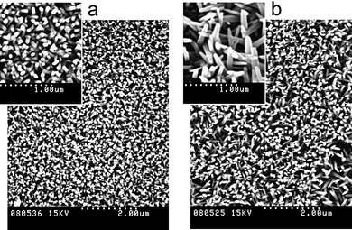 Top view of arrays of vertically-aligned ZnO nanorods synthesized by the hydrothermal method on indium tin oxide (ITO) substrates.45 Distance from the substrate to the bottom of the reaction flask was 10 times larger for (b) with respect to (a). Nanorod diameter: (a) ∼75 nm and (b) ∼150 nm.61