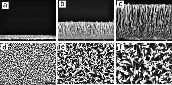 Cross-sectional (upper row) and top view (lower row) SEM images of ZnO nanowire arrays grown for ((a), (d)) one, ((b), (e)) four, and ((c), (f)) eight 4 h synthesis cycles. Scale bars are 2 µm for ((a)–(c)) and 1 µm for ((d)–(f)).65