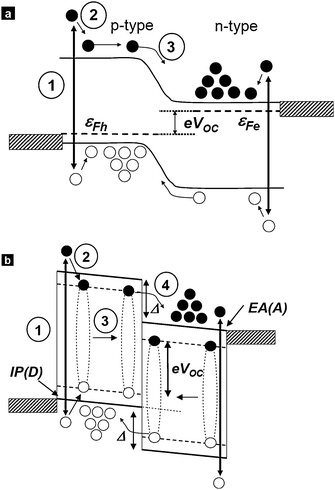 Comparison of the energy level diagrams for inorganic and organic solar cells. (a) Energy levels in an inorganic p–n junction under illumination. εFe and εFh denote the quasi-Fermi levels in the n-type and p-type semiconductors. The difference between the quasi-Fermi level energies determines the maximum open-circuit voltage (VOC) under illumination. Absorption of photons with an average photon energy larger than the band gap on either side of the junction in the n-type and p-type semiconductors (step 1) is followed by thermalization of the holes and electrons near the top of the valence and conduction bands, respectively (step 2). Minority carriers (electrons in the p-type semiconductor; holes in the n-type semiconductor) diffuse to the junction where they are swept away and accumulate on the other side of the junction where they become majority carriers (step 3). For the sake of simplicity, these three steps have been drawn for electrons, but the same applies to holes. (b) Energy level diagram of an organic heterojunction under illumination. IP(D) and EA(A) denote the ionization potential (HOMO level energy) of the donor molecular layer and the electron affinity (LUMO level energy) of the acceptor molecular layer, respectively. Absorption of photons with an average photon energy larger than the optical band gap on either side of the heterojunction (step 1) is followed by thermalization and the formation of excitons (step 2). Excitons diffuse to the heterojunction (step 3) where they dissociate and transfer an electron [hole] into the acceptor [donor] layer (step 4). The difference between IP(D) and EA(A) determines the maximum open circuit voltage (VOC) under illumination. The Δ arrows denote the energy offsets between the ionization potential values (HOMO energies) and electron affinities (LUMO energies).