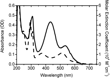 
          Absorption spectra of IJ-1 (solid) and N820 (dash) in ethanol with concentration 10−5 M.