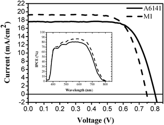 Photocurrent–voltage characteristics and incident photon-to-current conversion efficiency plotted as a function of excitation wavelength (insert) of IJ-1 sensitized solar cells with A6141 (solid) and M1 (dash) electrolytes under AM 1.5 full sunlight (100 mW cm−2).