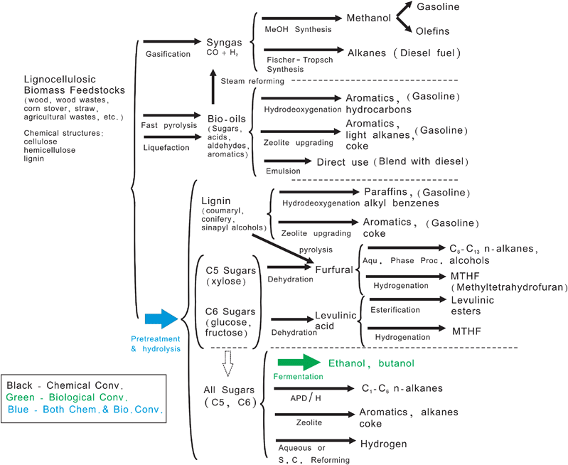 Known routes for production of biofuels from lignocellulosic biomass. Adapted from Huber et al.1