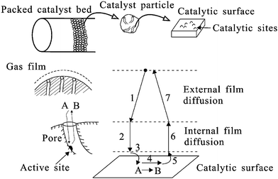 Steps in heterogeneous catalysis reaction A → B in a porous supported catalyst. Adapted from Bartholomew and Farrauto.10