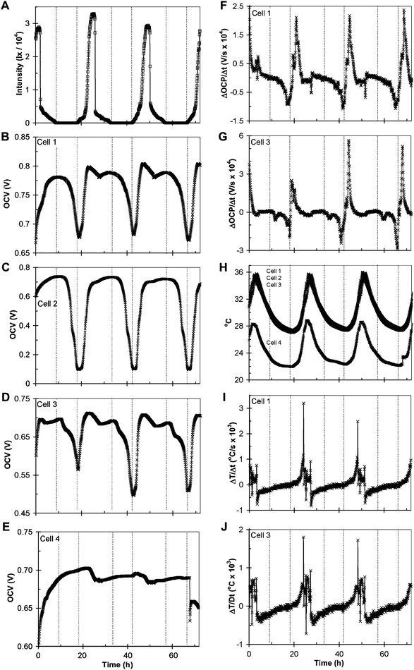 Typical 72 h record of sunlight intensity (A); open circuit voltage (OCV) of cell 1 (B); OCV of cell 2 (C); OCV of cell 3 (D); OCV of cell 4 (E); derivative of OCP with time for cell 1 (F); derivative of OCP with time for cell 3 (G); internal temperature of cells 1, 2, 3, and 4 (H); derivative of temperature with time for cell 1 (I), derivative of temperature with time for cell 3 (J). Dotted lines indicate when sunlight is first detected in the morning and last detected in the evening on a given day.