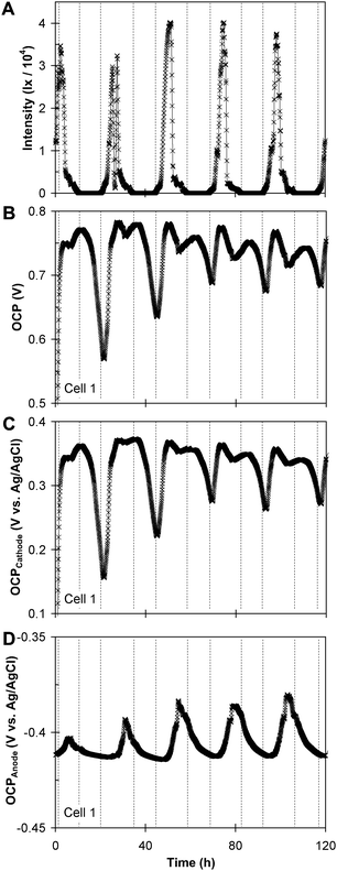 A subsequent 120 h time record of sunlight intensity (A), OCV of cell 1 (B); the open circuit cathode potential vs. time (C); and the open circuit anode potential vs. time (D).