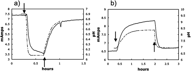 Representative examples of decrease and increase in power production due to an decrease or increase in pH of bulk fluid. Where indicated (↓) the gas phase in the anode chamber was switched from N2/CO2 to either CO2 only resulting a decrease in pH (a) or N2 only resulting in a rise in pH (b). When gassing was returned to the normal N2/CO2 (80 : 20) mix (↑), the pH returned to ∼6.9 and power production returned to levels comparable to those before the gassing was changed.