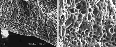 Scanning electron micrograph showing a cross-sectional view of the ternary hybrid.