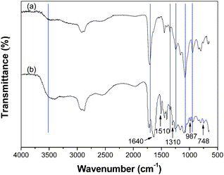 ATR-FTIR spectra of the PAA-PEG hybrid (a) and the ternary hybrid (b).