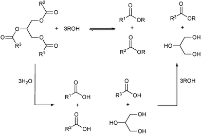 Simplified representation of several products obtained from the alcoholysis and hydrolysis followed by esterification of triglycerides.