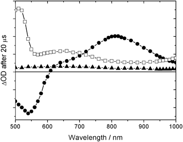 Transient absorption difference spectra, measured 20 µs after pulsed excitation at 450 nm, for various nanostructured films under examination: OPA/CdS/TiO2 (▲), N719/OPA/CdS/TiO2 (●), spiro-OMeTAD/N719/OPA/CdS/TiO2 (□).