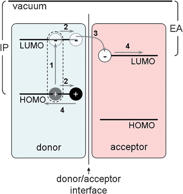 Schematic of frontier molecular orbitals (highest occupied, HOMO, and lowest unoccupied, LUMO) at a donor/acceptor interface showing steps in the photovoltaic process. Ionization potential (IP) and electron affinity (EA) are depicted for the donor and acceptor, respectively.