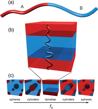 (a) Schematic representation of a diblock copolymer; (b) lamellar phase morphology depicting arrangement of polymer chains; (c) partial list of phases formed by diblock copolymers in the bulk as a function of the volume fraction of block A. Adapted from Ref. 23.