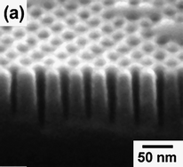 
          Scanning electron micrograph of high-aspect-ratio silicon structures fabricated using block copolymer lithography. Reproduced with permission from Ref. 73.