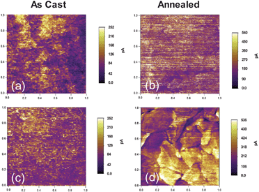 
          C-AFM current images of as cast (a, c) and annealed (b, d) SMDPPEH : PC6161BX (50 : 50) from (2% w/v) solution where X = methyl (a and b), and X = n-dodecyl (c and d). Images for the as cast and annealed films are 1 µm × 1 µm in size.