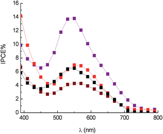 Photoaction spectra in the presence of Co(DTB)32+ 0.15 M and Li+ 0.5 M. Eggplant extract (), red radicchio (), Nero d'Avola () and Giacchè (). DTB = 4,4′-di-tert-butyl-2,2′bipyridyl.