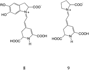 General structure of betalains: betanin (8) and betaxanthin (9).