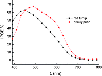 Photoaction spectra on transparent TiO2 of betalains from red turnip (■) and wild prickly pear (). LiI/I2 0.5 M/0.05 M in ACN was used as a redox electrolyte. Cells equipped with blocking underlayer.